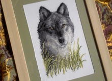 Картина "Волк"		