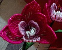 Орхидея Фаленопсис из китайского бисера