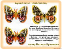 Плетение из бисера: Бабочка Бунеопсис Повелитель