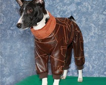 Кожаный комбинезон для собаки шьем сами