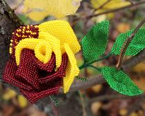 Плетение из бисера: Роза "Абракадабра"