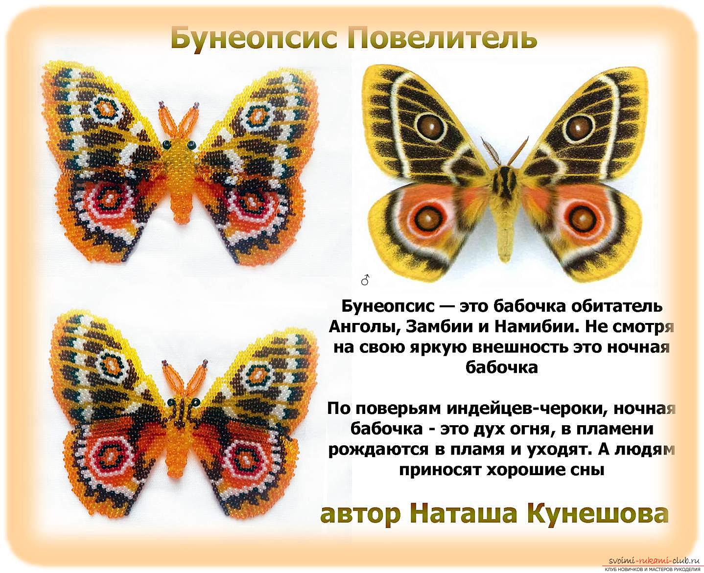 Плетение из бисера: Бабочка Бунеопсис Повелитель