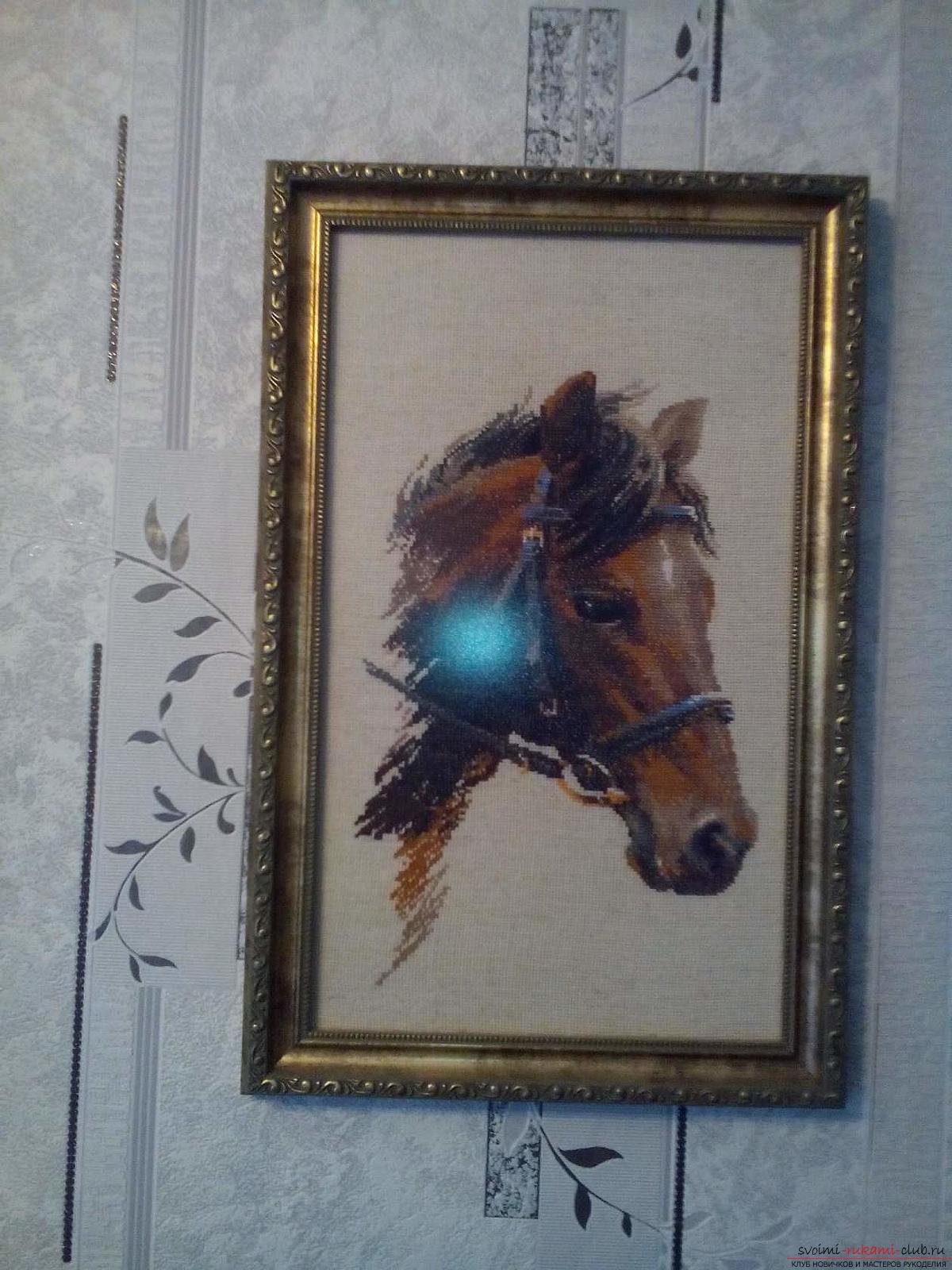 Вышивка крестом картины: Голова лошади Булат