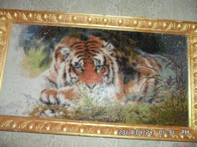 Алмазная картина с тигром: полная выкладка