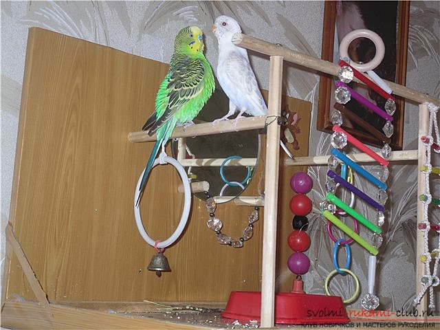Игрушки для попугаев, изготовленные своими руками