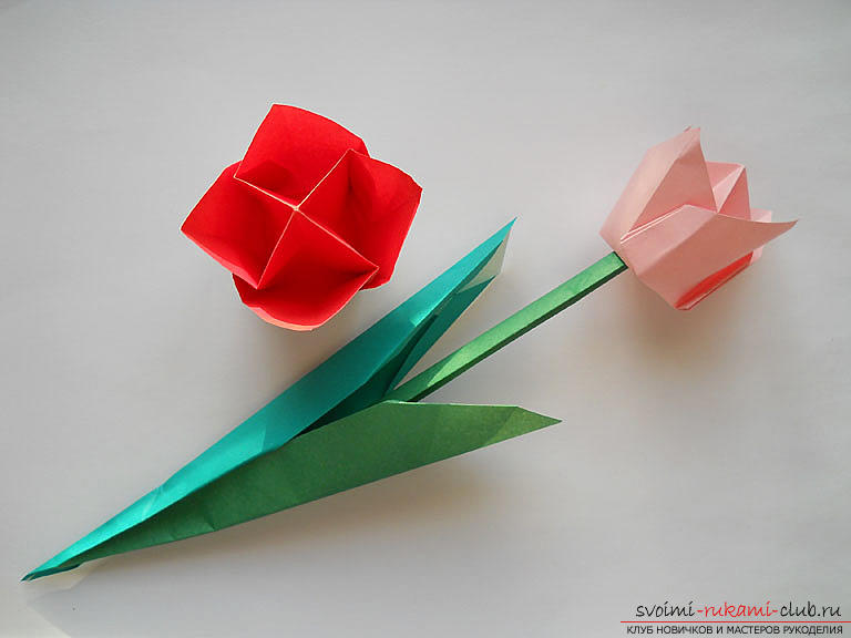 Как сделать тюльпан по схеме оригами своими руками - оригами для детей и взрослых