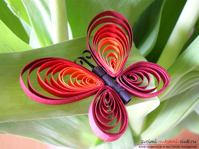 Инновационные идеи о том, как создавать бабочки из цветной бумаги своими руками