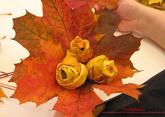 Как сделать розу из осенних листьев поэтапно
