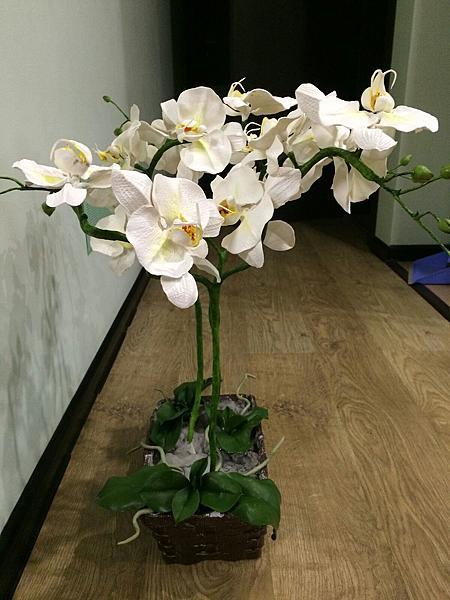 Композиция из орхидей белого цвета. Интерьерные композиции - ручной работы.