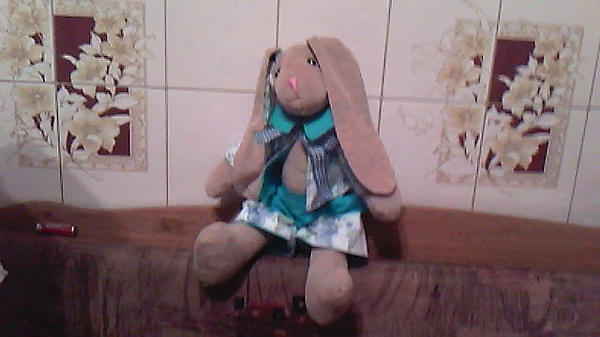 Заяц в гламурном наряде.