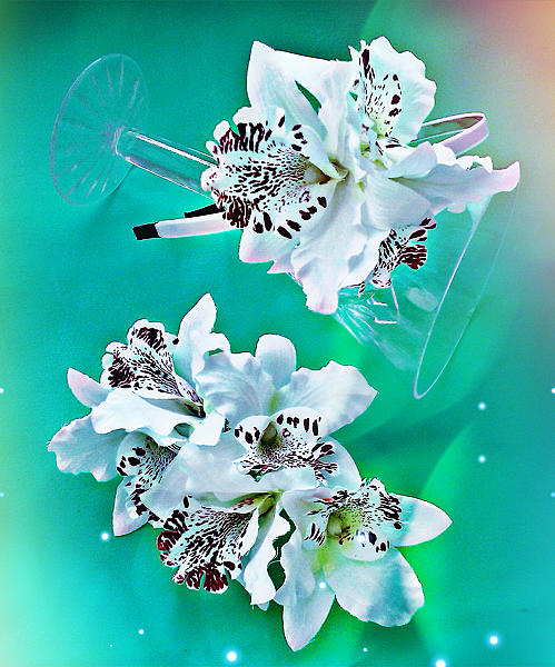 Набор Орхидеи. Фото 3