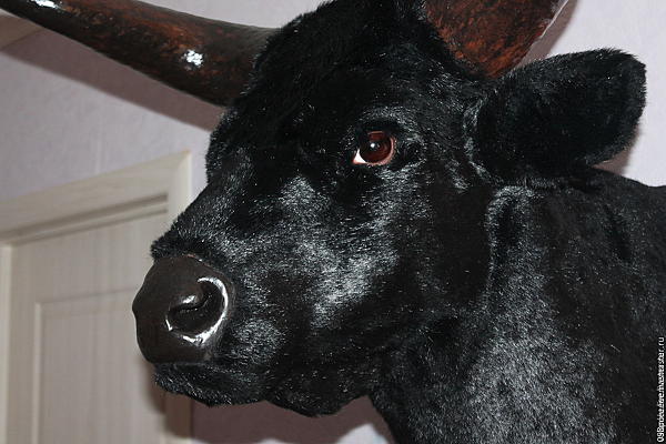 Голова быка "Black Angus" (муляж). Элементы интерьера - ручной работы. Фото 2