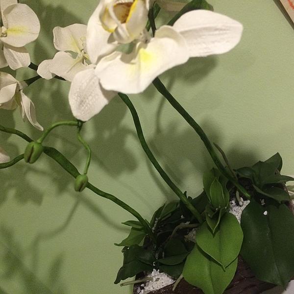 Композиция из орхидей белого цвета. Интерьерные композиции - ручной работы. Фото 5