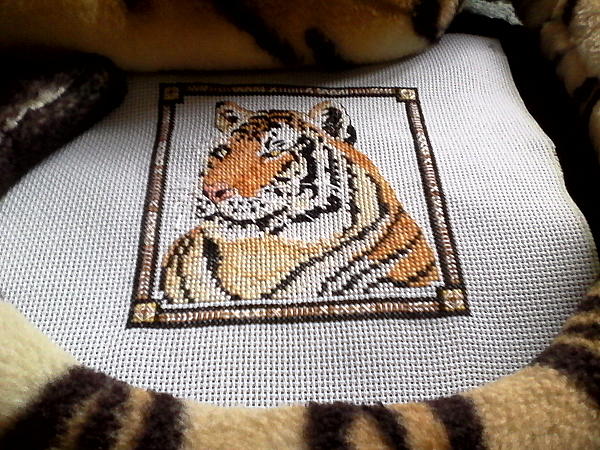 Картина "Тигр". Животные - ручной работы. Фото 2