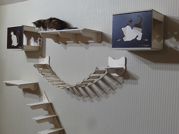 Настенный игровой комплекс для кошек "ОПТИМА". Аксессуары для кошек - ручной работы. Фото 7