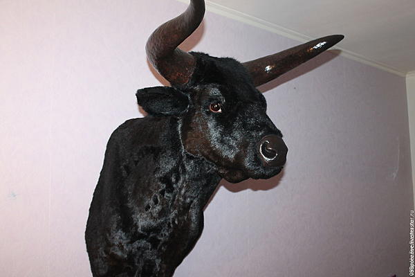Голова быка "Black Angus" (муляж). Элементы интерьера - ручной работы.