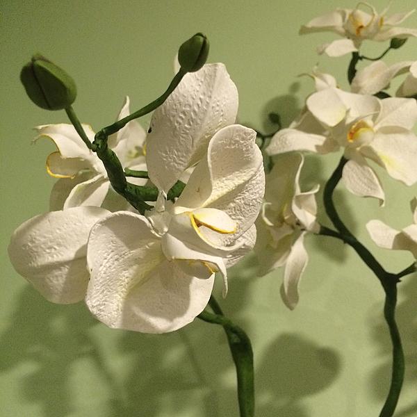 Композиция из орхидей белого цвета. Интерьерные композиции - ручной работы. Фото 2