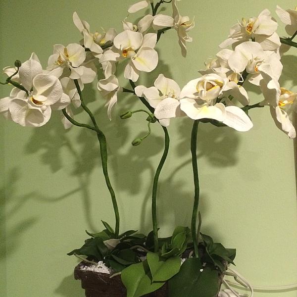 Композиция из орхидей белого цвета. Интерьерные композиции - ручной работы. Фото 3