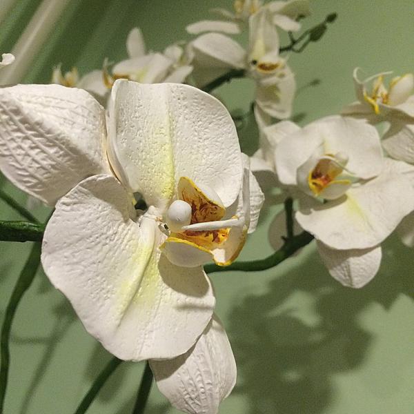 Композиция из орхидей белого цвета. Интерьерные композиции - ручной работы. Фото 4