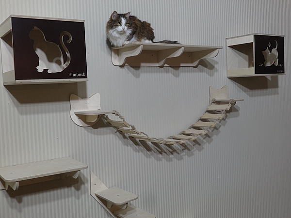 Настенный игровой комплекс для кошек "ОПТИМА". Аксессуары для кошек - ручной работы.