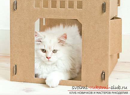 Самый простой домик для кошки