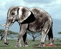 Поэтапное рисование слона карандашом