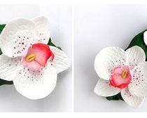 Брошь из полимерной глины "Нежная орхидея"