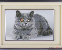 Вышиваем серого кота-британца по схеме
