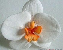 Лепим орхидеи из полимерной глины своими руками