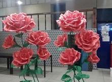 Красные розы		