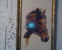 Вышивка крестом картины: Голова лошади Булат