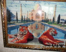 Алмазная мозаика: Тигры у Тадж-Махала
