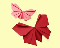 Бабочка оригами из бумаги: схема создания и фото