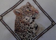Картина "Леопард"		