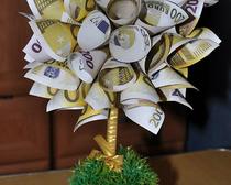 Топиарий: Денежное дерево из евро