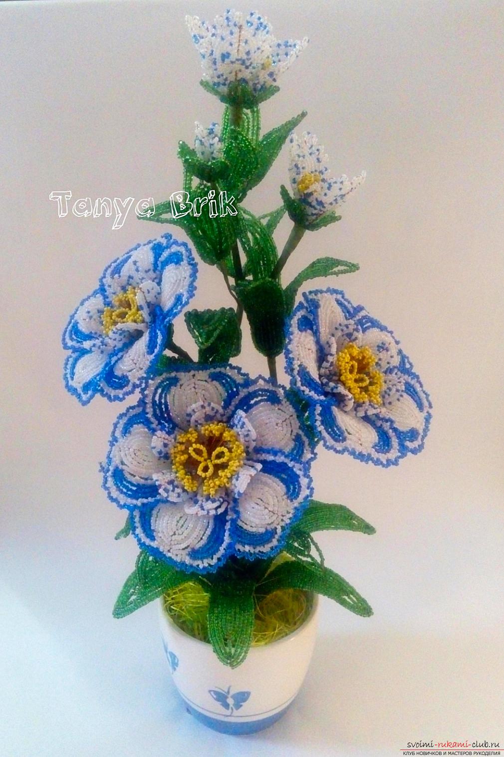 Синий цветок из бисера в горшочке