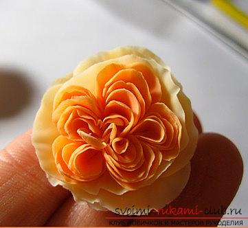 Английская роза своими руками - цветы из полимерной глины и мастер-класс. Фото №8