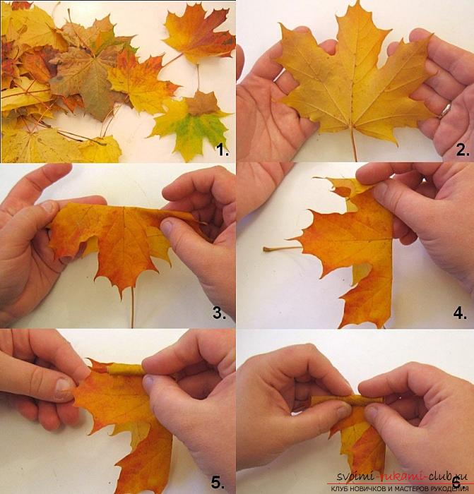 Поделки из кленовых листьев своими руками: несколько уроков. Фото №12