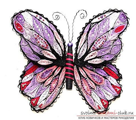 Квиллинг бабочки - петельчатый квиллинг и мастер-класс своими руками. Фото №4
