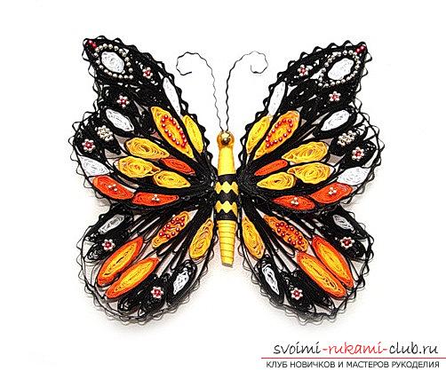Квиллинг бабочки - петельчатый квиллинг и мастер-класс своими руками. Фото №5