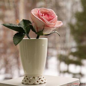 "Живые" розы из фоамирана