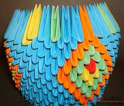 Как сделать павлина в технике модульного оригами, пошаговые фото и подробное описание работы, цветовые решения в исполнении павлиньих перьев с 