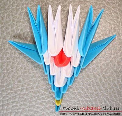 Как сделать павлина в технике модульного оригами, пошаговые фото и подробное описание работы, цветовые решения в исполнении павлиньих перьев с 