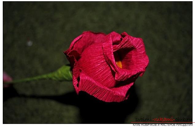 Как сделать конфетный букет из роз, пошаговые фото и инструкция создания роз из гофрированной бумаги с сердцевинками из конфет. Фото №6
