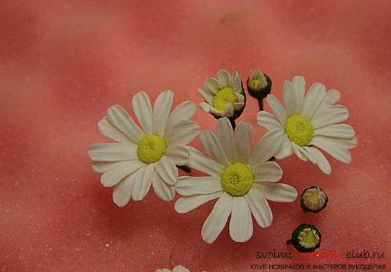 Делаем цветок ромашки с помощью полимерной глины - мастер-класс для новичка