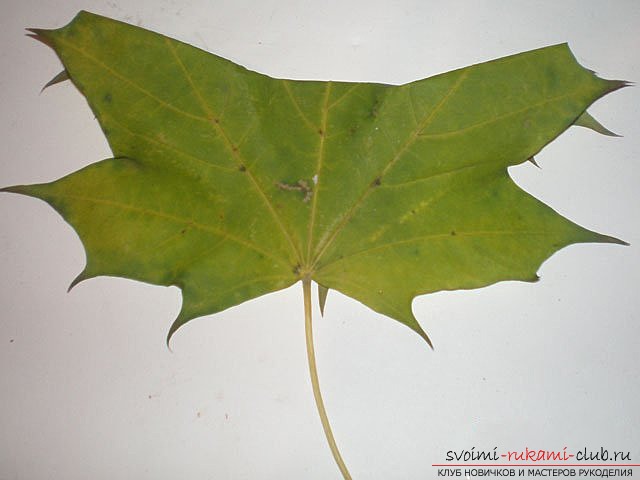 Осенний букет из кленовых листьев. Фото №2