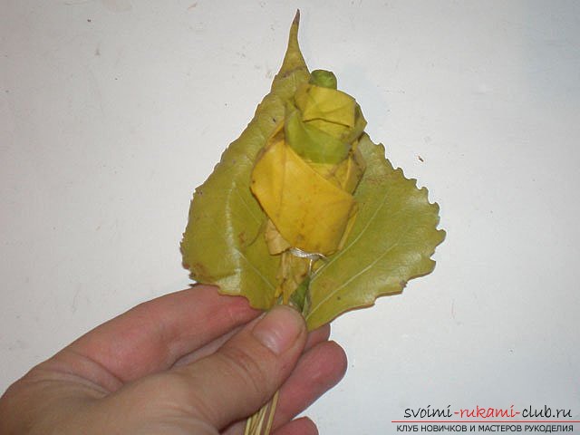 Осенний букет из кленовых листьев. Фото №11