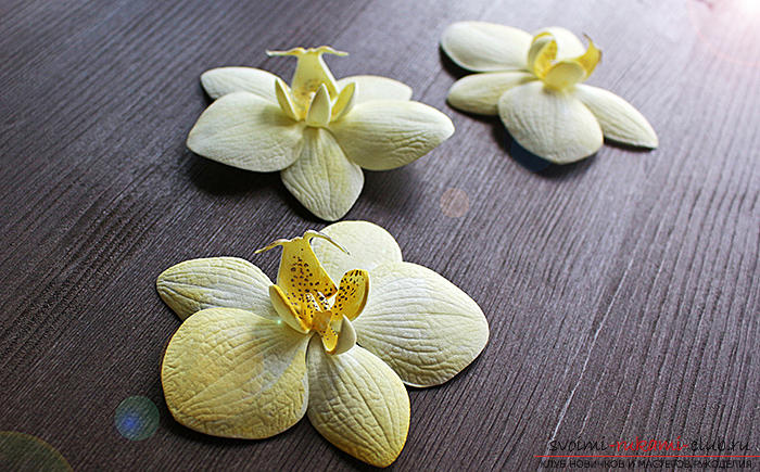 Орхидеи фаленопсис для украшений из фоамирана. Фото №22