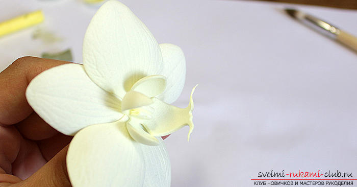 Орхидеи фаленопсис для украшений из фоамирана. Фото №18