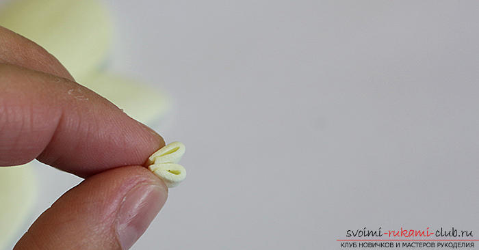 Орхидеи фаленопсис для украшений из фоамирана. Фото №15